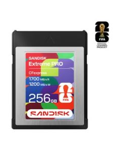 SDCFEB-256G-GN4NN-p1-r1