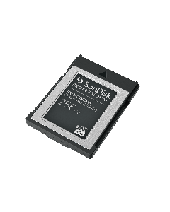 PRO-CINEMA CFexpress® VPG400 Type B (256 GB) (SDPCVN4-256G-JNANN)