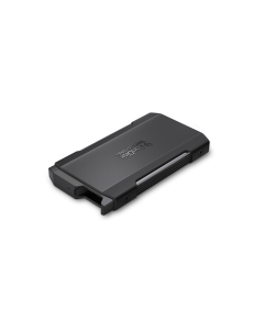 PRO-BLADE TRANSPORT (2 TB) (SDPM2NB-002T-GBAND)