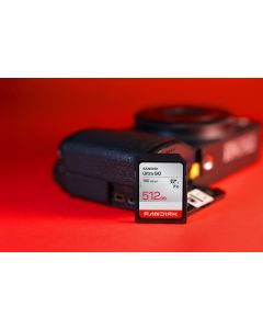 SanDisk Ultra GO SDHC and SDXC UHS-I Memory Card (32 GB) (SDSDUGN-032G-GN6IN)