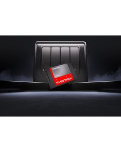 SANDISK NAS 600 SATA SSD (1 TB) (SDSNS2100TAB-000G0)
